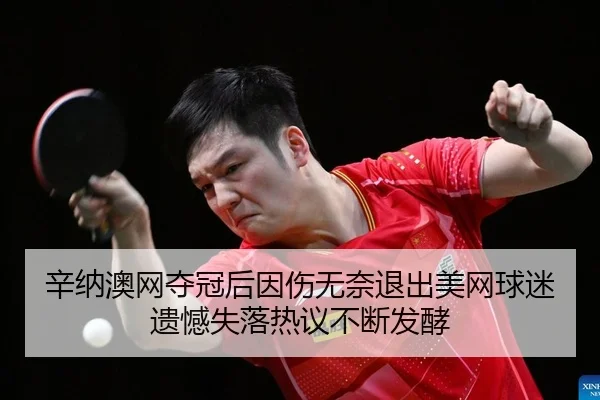 辛纳澳网夺冠后因伤无奈退出美网球迷遗憾失落热议不断发酵